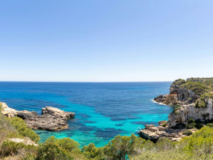 Parc Natural de sAlbufera de Mallorca